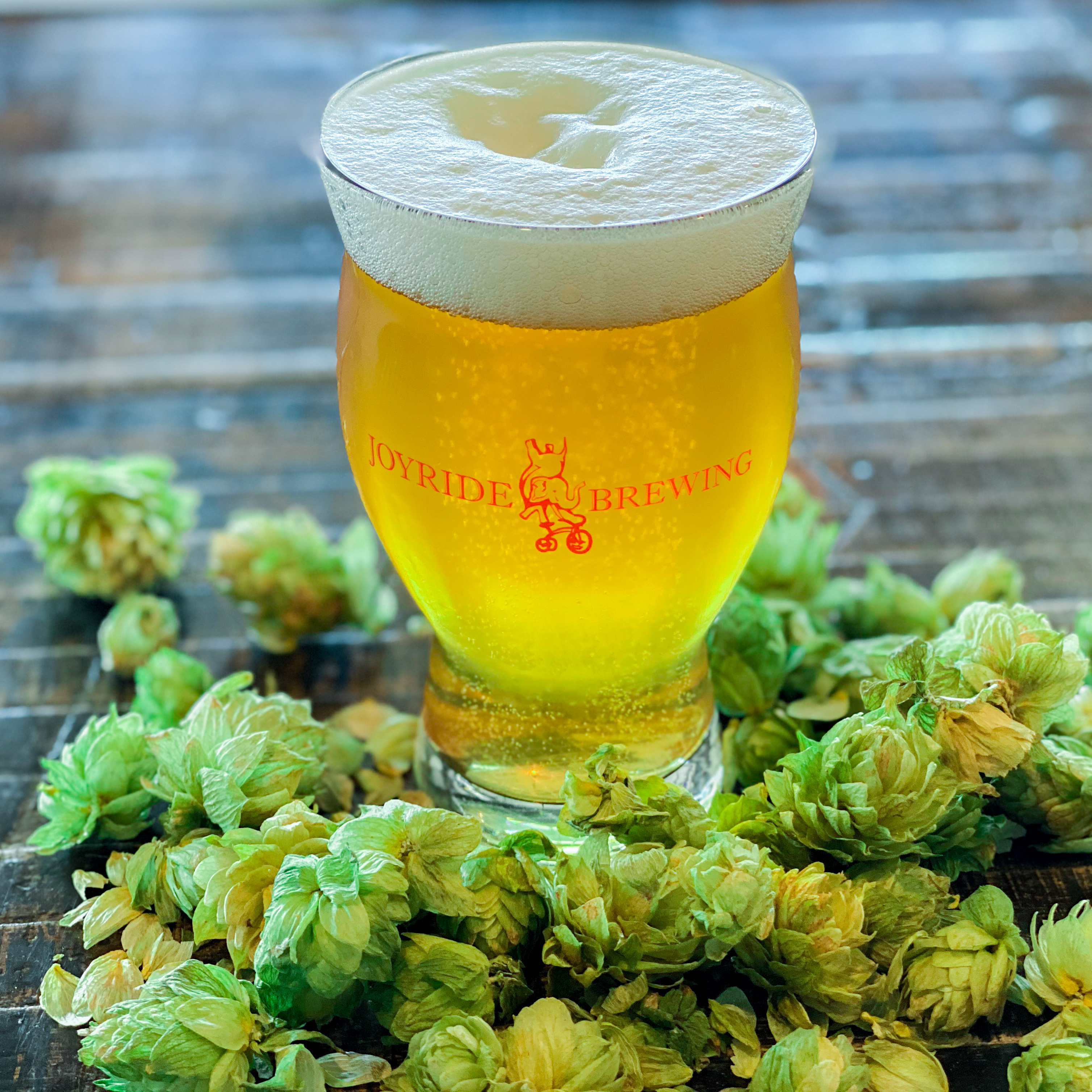 Edgewater's Joyride Brewing has made two versions of its Fresh Budz IPA. (Provided by Joyride Brewing)