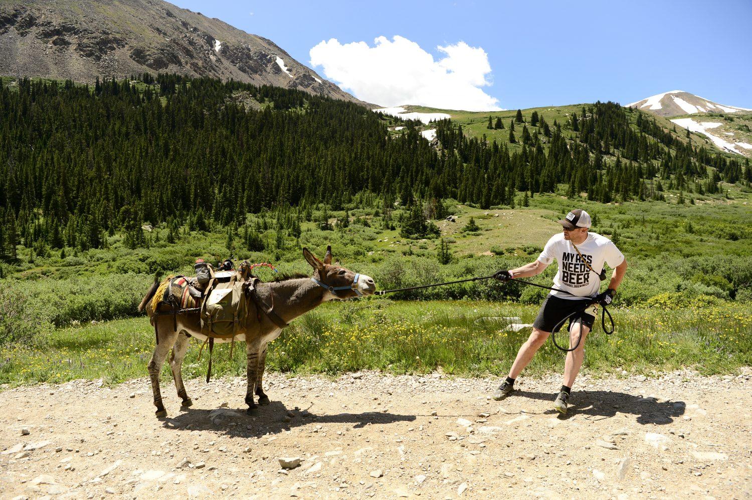 FAIRPLAY, CO - JULY 28: Ben Brewer, of Bend, Oregon, tries to coax his burro Banjo to move as the duo head towards Mosquito Pass during the Pack Burro Race on July 28, 2019 in Fairplay, Colorado. Brewer spent about 15 minutes trying to get Banjo to move. Fairplay town is celebrating the 71st annual Burro Days which is always held during the last full weekend in July. The annual weekend event includes llama races kiddies pack dog races, gold panning, a parade, outhouse races, 145 arts and crafts and food booths and the big event of the weekend the pack Burro race. The race is made up of a 15 mile race and 25 mile race. Typically, the longer race goes up and over Mosquito Pass but because there is still so much snow on the pass organizers had to shorten the race. (Photo by Helen H. Richardson/The Denver Post)
