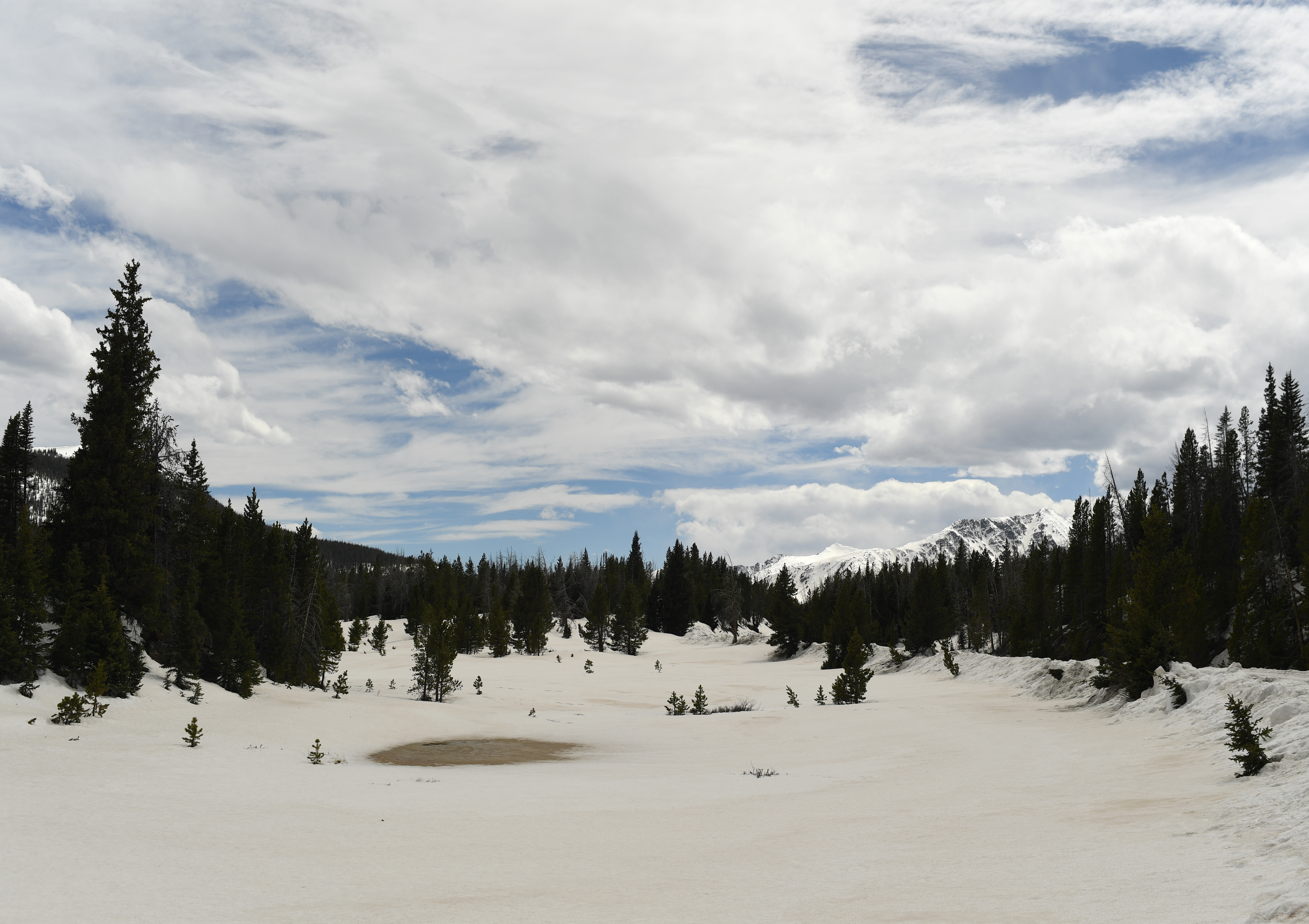 Brown slushy snow starts to melt near the top of La Poudre Pass at the headwaters of the Colorado River on May 11, 2022. The headwaters of the Colorado River begin southwest of Long Draw Reservoir above 10,000 ft., on the border between Larimer and Grand County. The pass divides the headwaters of La Poudre Pass Creek, which joins the Cache Le Poudre River and eventually drains into the Gulf of Mexico. The Colorado River drains into the Gulf of California.