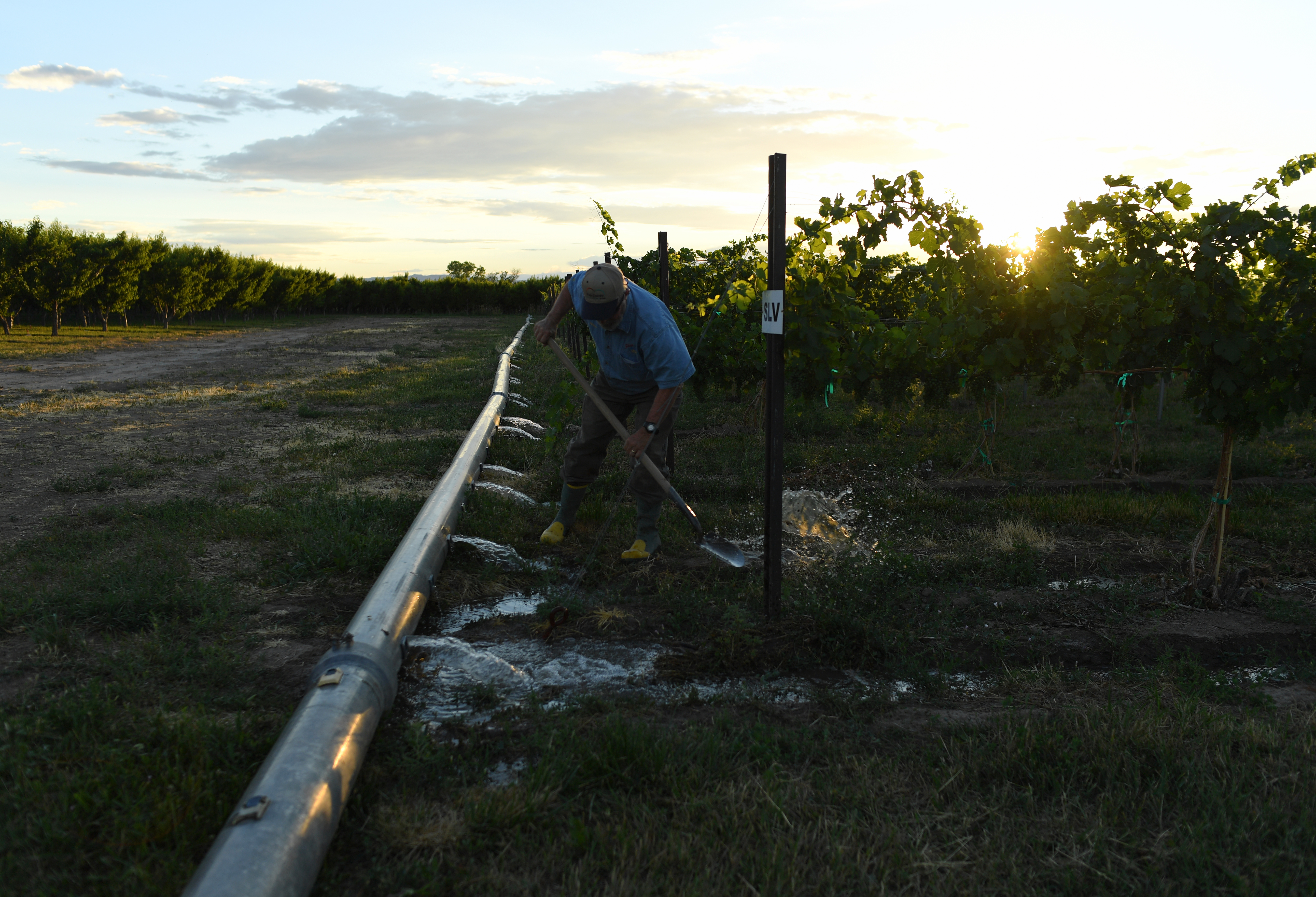 Bruce Talbott, of Talbott Farms, makes ...