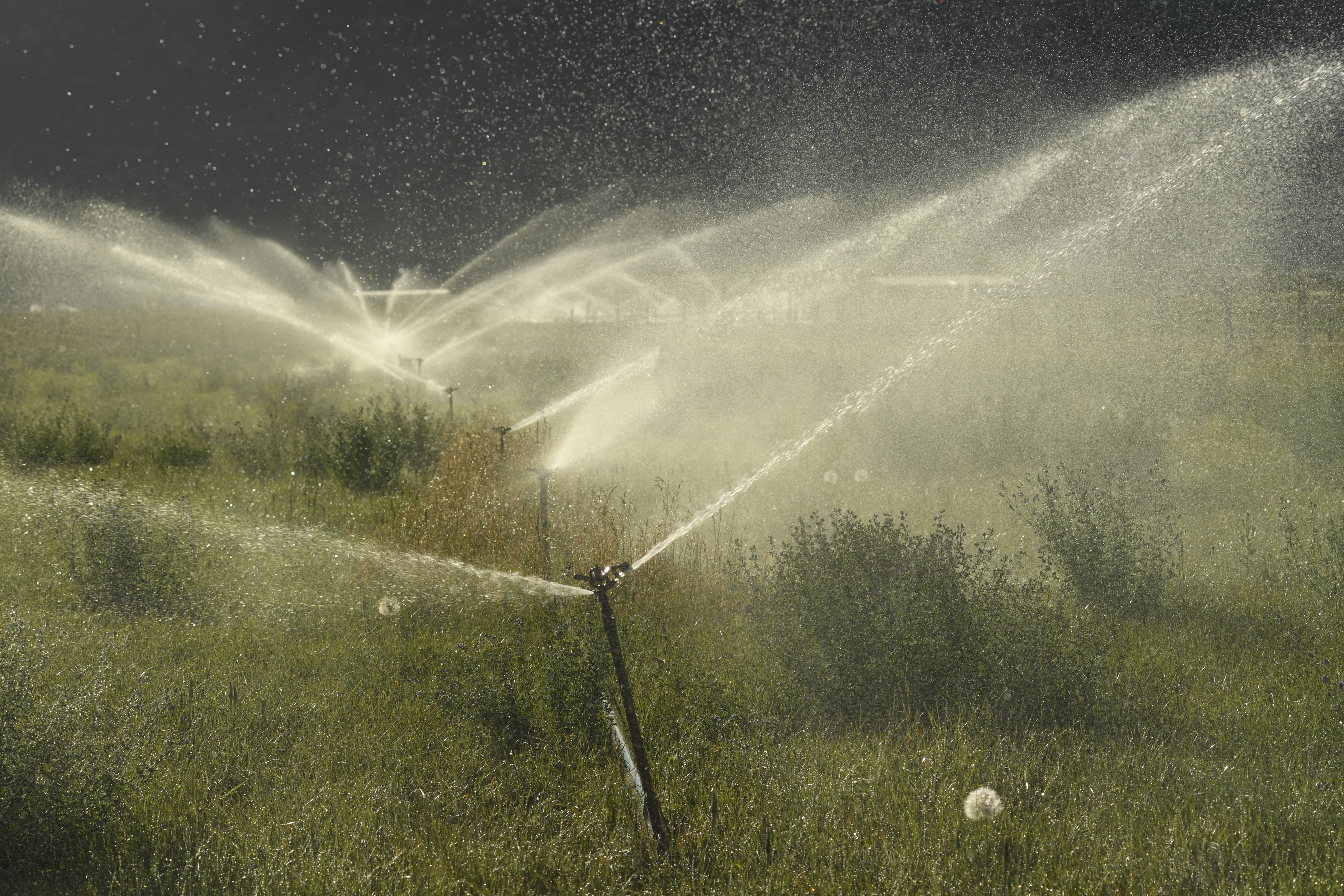 Large rotating sprinklers water a field ...