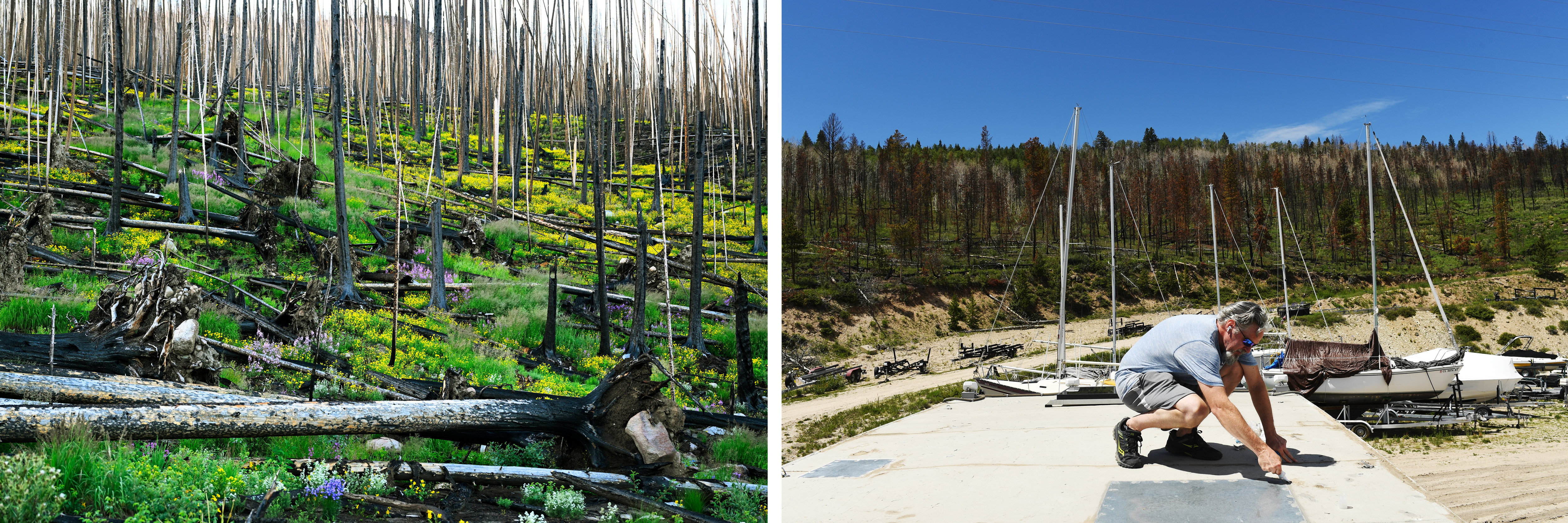 LEFT: Wildflowers bloom in the burn scar of the East Troublesome fire in Rocky Mountain National Park a few miles from the headwaters of the Colorado River on July 20, 2022, near Grand Lake. In 2020, the East Troublesome fire moved quickly through the area and burned more than 120,000 acres in a single day. RIGHT: Brooks Geyen fixes a leaky roof on his houseboat parked in storage at Indian Peaks Marina on July 2, 2022, in Granby, Colorado. The forest behind the boat storage yard still shows scars of the East Troublesome fire. Geyen thought he lost everything during that fire, but he later found out that his home and boat were not damaged. Over 7,000 structures were threatened by the fire, and 366 residences and 214 outbuildings and commercial structures were destroyed or damaged.