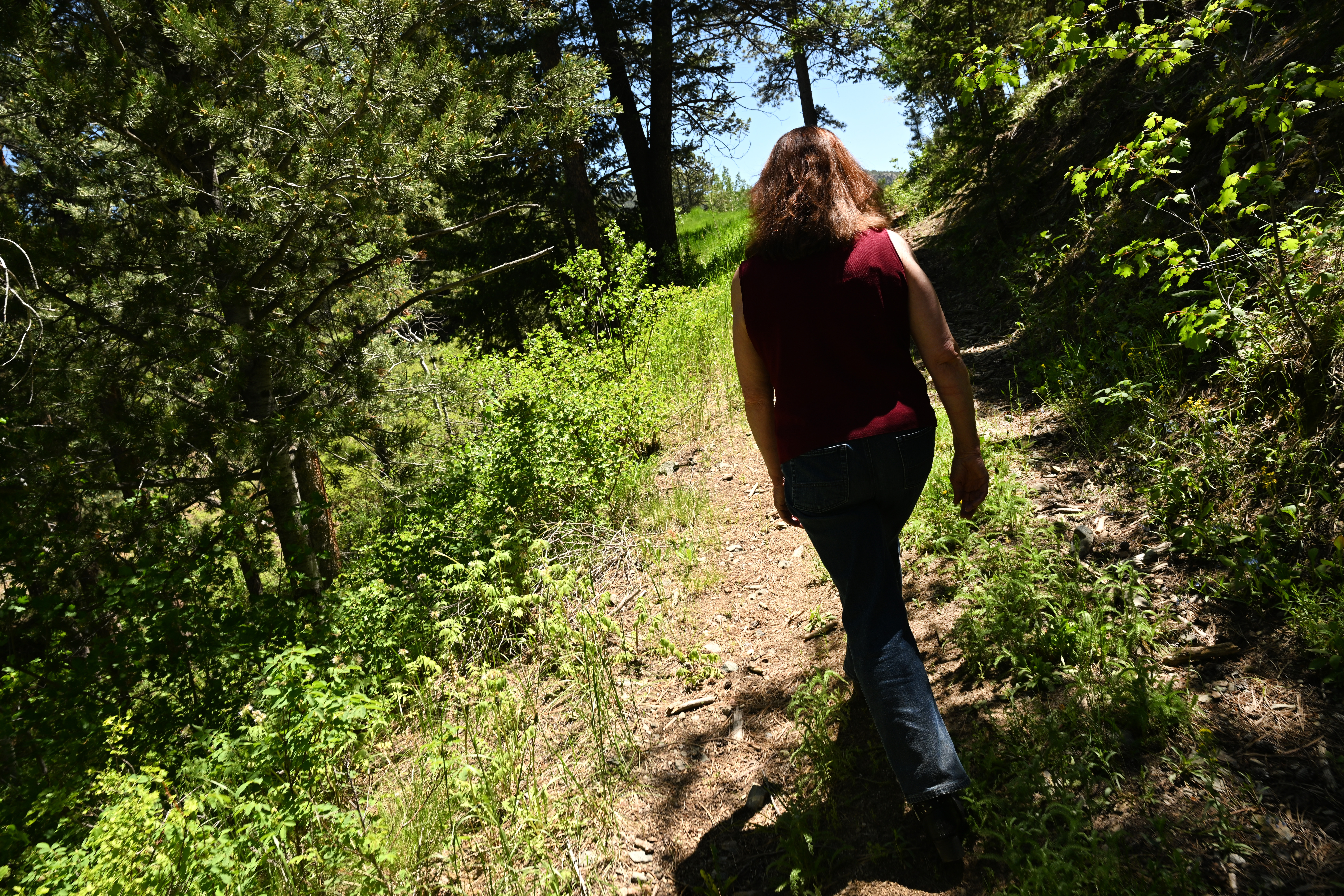 GOLDEN, CO - JUNE 26: Kathryn Avery walks along quiet trails at Restoration Ranch on June 26, 2023 in Golden, Colorado. Kathryn Severns Avery founded Restoration Ranch after her husband, Chris Avery, was killed in a car accident in 2020 when robbery suspects t-boned him in an intersection fleeing the scene of their crime in Lakewood. Avery bought and founded the ranch to offer it as a respite and safe space for first responders of all kinds who have responded to crisis situations. She wants it to provide a place to recuperate. Restoration Ranch Colorado supports dispatchers, first responders, emergency department personnel, members of the judiciary, and their families by providing access to opportunities for relaxation, reflection, recreation, health, and wellness. Keeping the location undisclosed to protect those who retreat to it, Avery describes the property as the perfect place to get away for reflection, relaxation, and recreation. At an altitude above 8,000 feet and just 45 minutes from Denver, the Ranch is secluded but easy to access. It offers 40 acres with pine and aspen trees, large rock outcroppings, and open meadows. She has set it up so there are no costs to the stakeholder groups Ð dispatchers, LEOs, fire/EMS, emergency department personnel, members of the judiciary, and their families. Reservations are on a first come, first served basis. The location of the Ranch is not disclosed to participants until a Waiver and NDA are signed. The ranch and other projects Avery is working on are her way of giving back to the first responders who tended to her dying husband after the fatal crash. (Photo by Helen H. Richardson/The Denver Post)