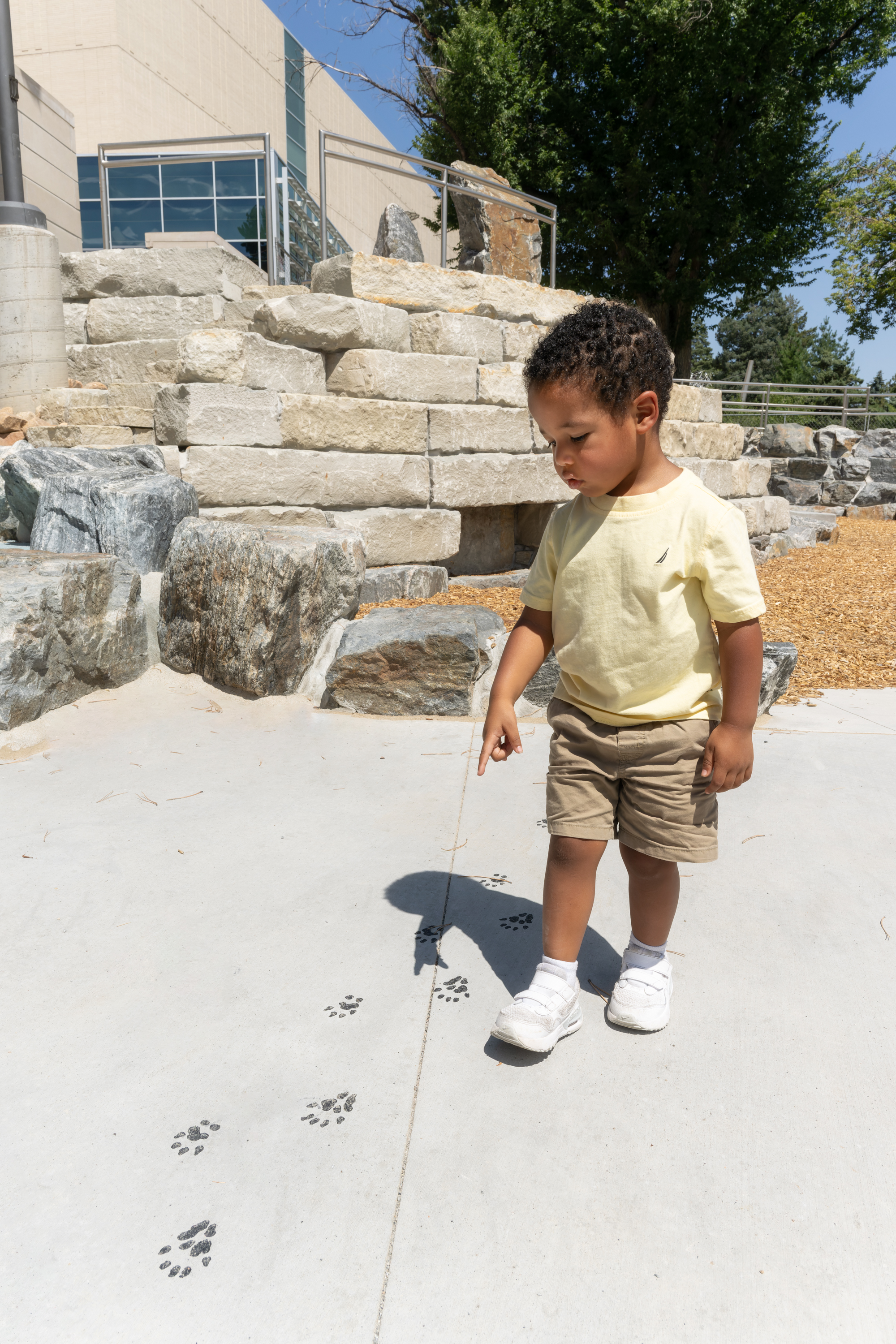 A child follows animal footprints along a walkway at the Nature Play installation in City Park in this promotional photo. (Photo by Rick Wicker, provided by DMNS)
