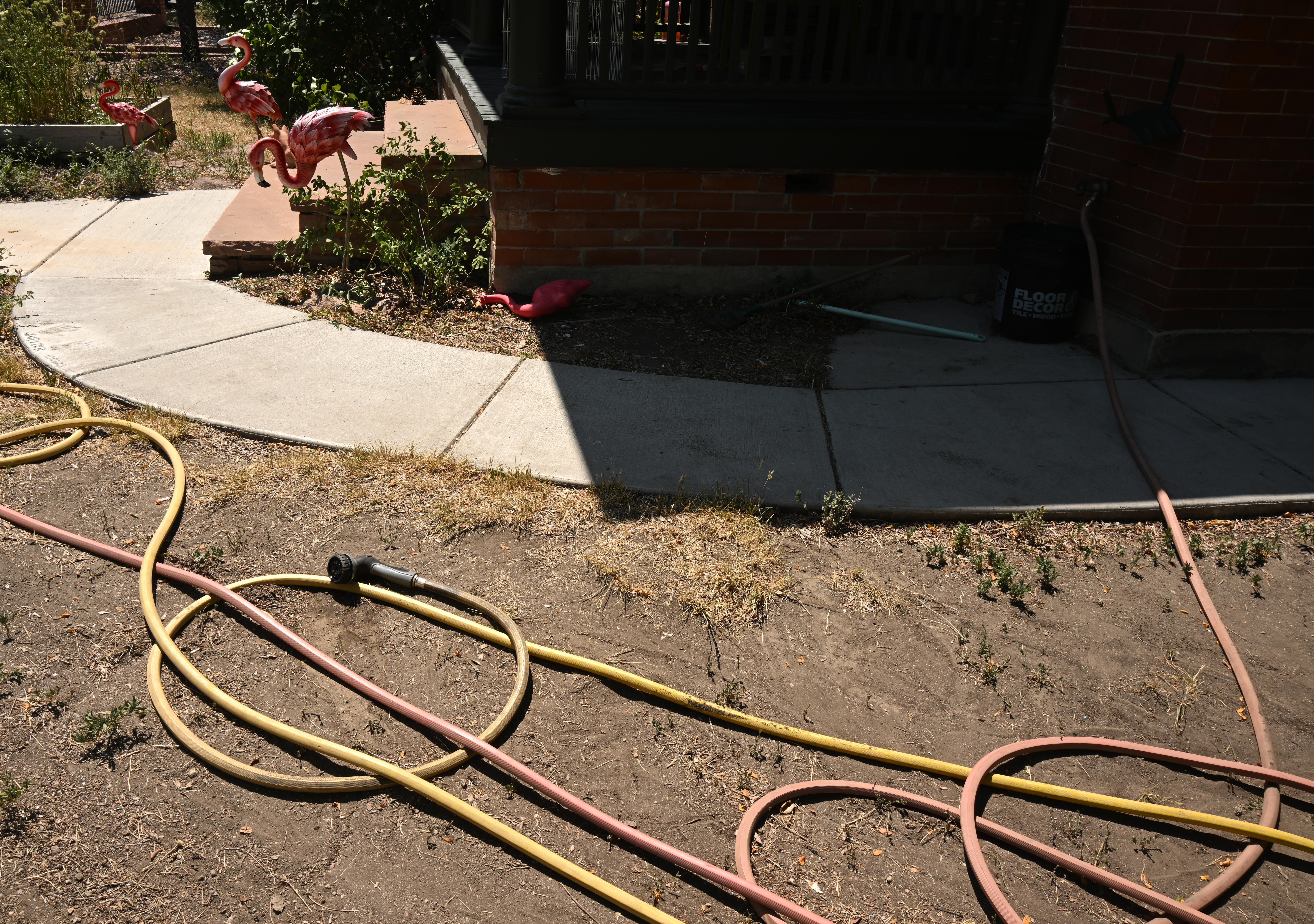 A garden hose lies on the dry ground in the front yard of a home along Corona Street on Tuesday, July 21, 2026, in Denver. Denver Water has imposed residential water restrictions because of the ongoing drought. (Photo by RJ Sangosti/The Denver Post)