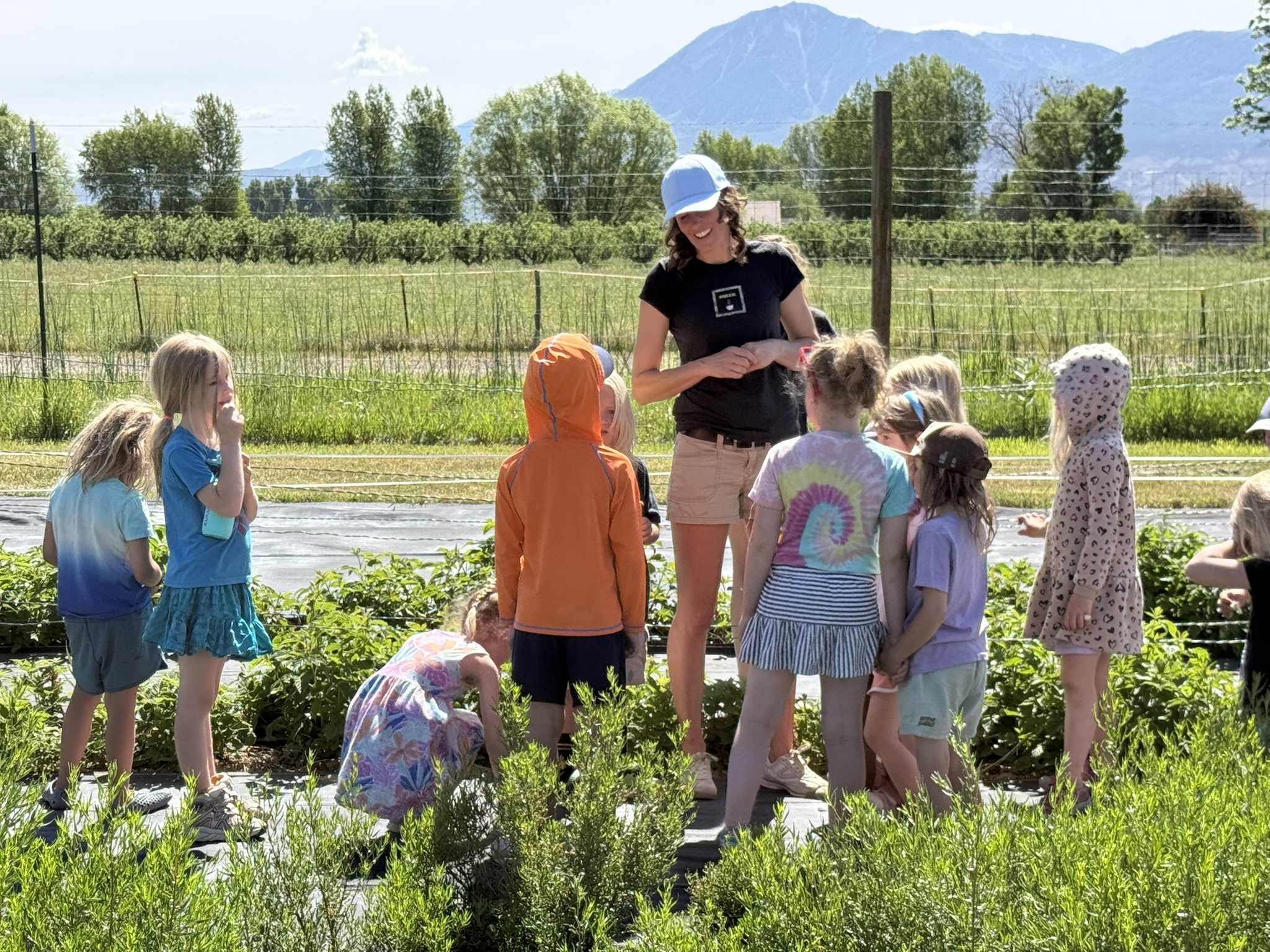 In Hotchkiss, Elevation Mountain Grown Herbal Tea has a 5-acre farm that is open to the public for tours and special events, including seasonal you-picks, and painting and bouquet-making classes. (Provided by Elevation Mountain Grown Herbal Tea)