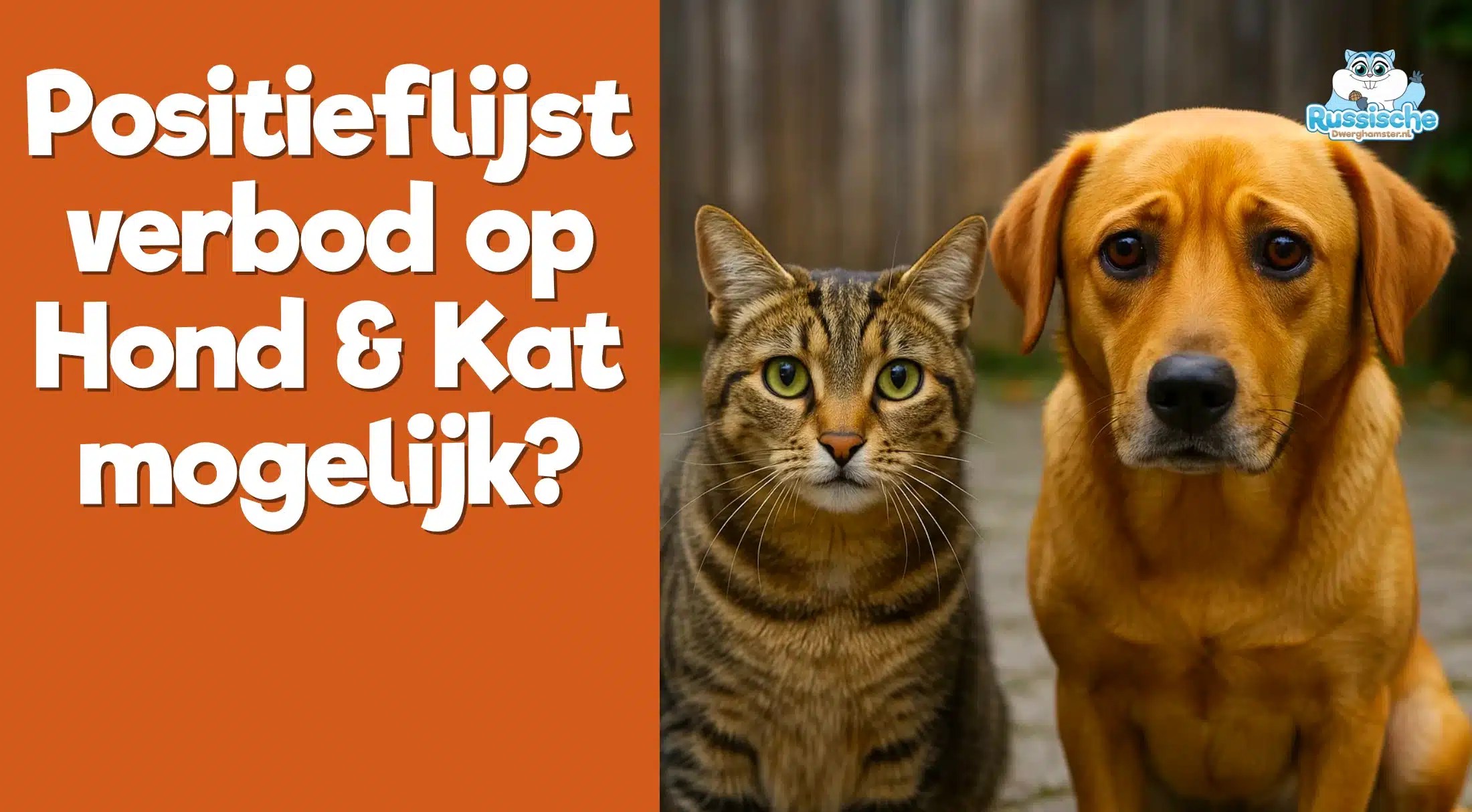 Positieflijst verbod op hond en kat mogelijk - stichting aap