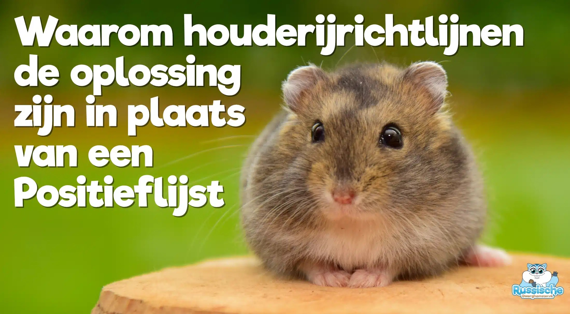 houderijvoorschriften en houderijrichtlijnen in plaats van een positieflijst