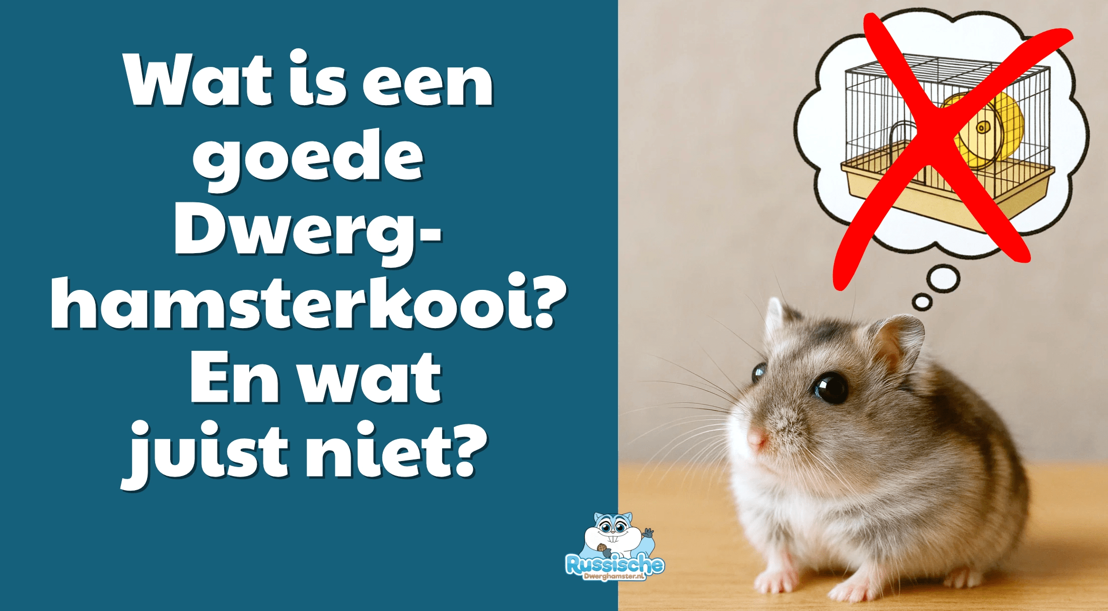 wat is een goede hamsterkooi