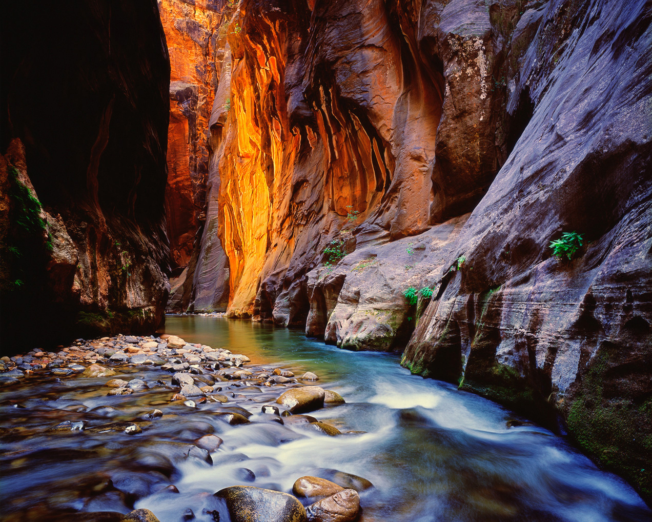 24+ Awesome Zion Park Inn / The Narrows - Zion | Utah.com : Offers assisted living montclair $$$$ get cost details 14 reviews top rated 1 yr 1 laurel glen at bre.