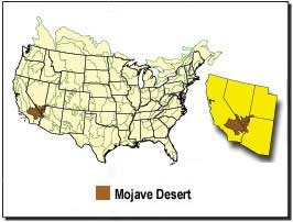 Mojave Desert Location Description Map DesertUSA Mojavemap 