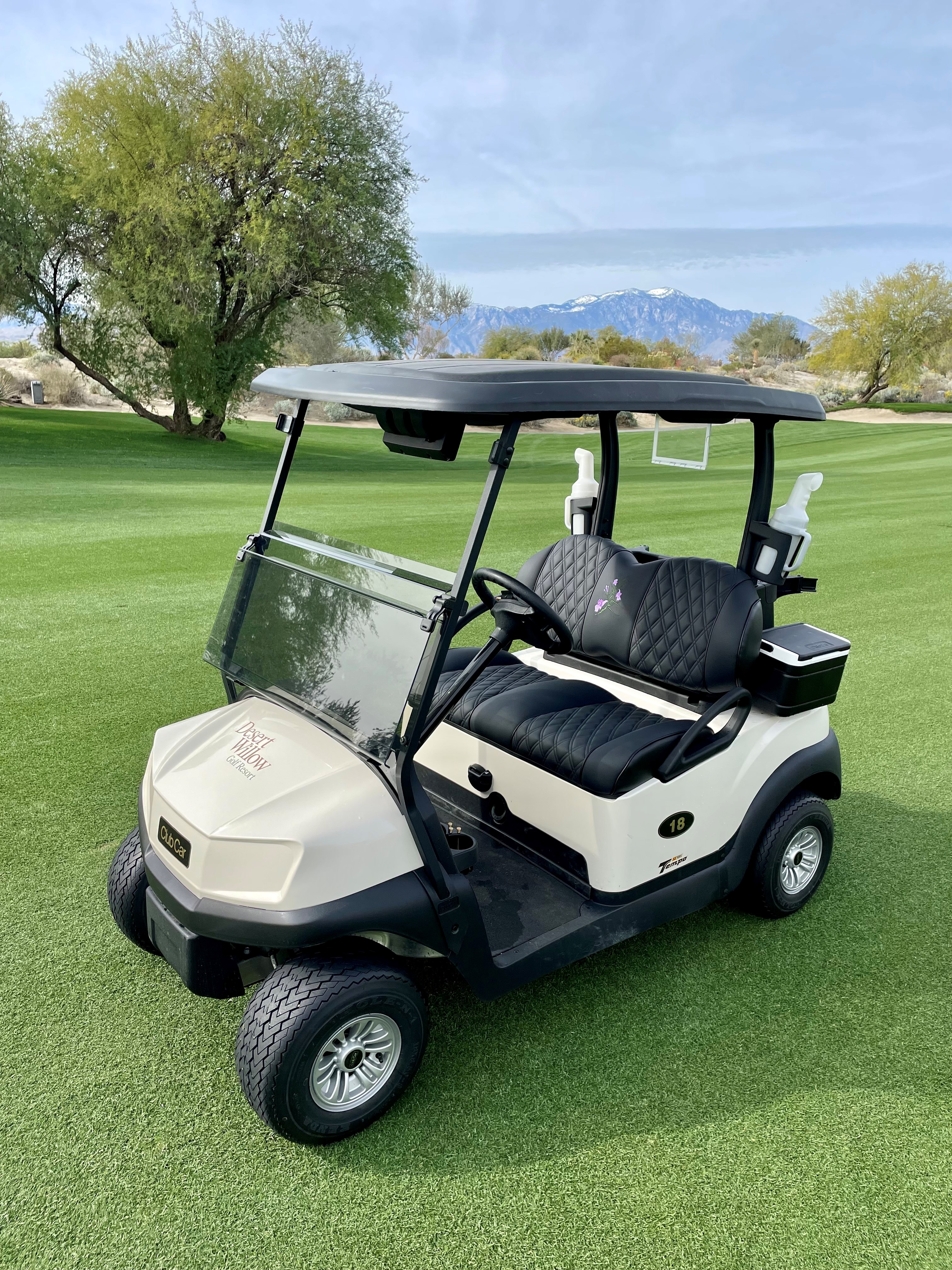 A Desert Willow Golf Resort golf cart with black leather seats parked on the fairway, with a large tree and distant snow-capped mountains visible in the background.