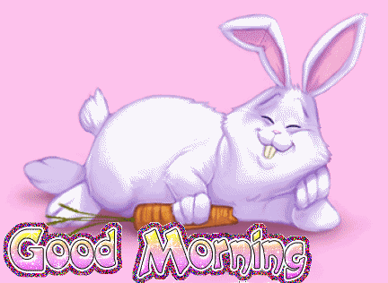 pic Cute Good Morning Bunny Gif desicomments com