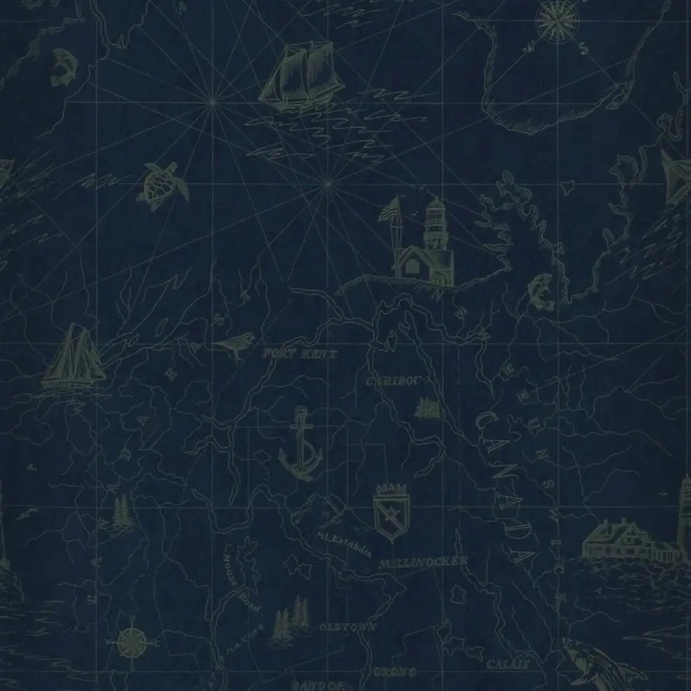 Transitional kids room showcases a constellation from ralph lauren constellation wallpaper on the ceiling. Searsport Map Royal Wallpaper Ralph Lauren Designers Guild