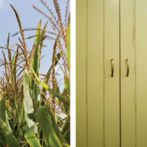 סביבת עבודה טבעית