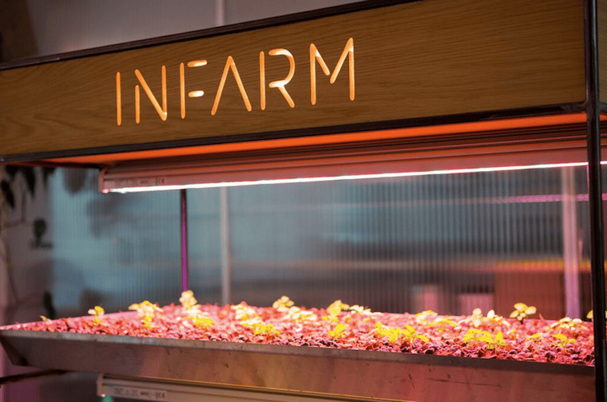 Image result for infarm