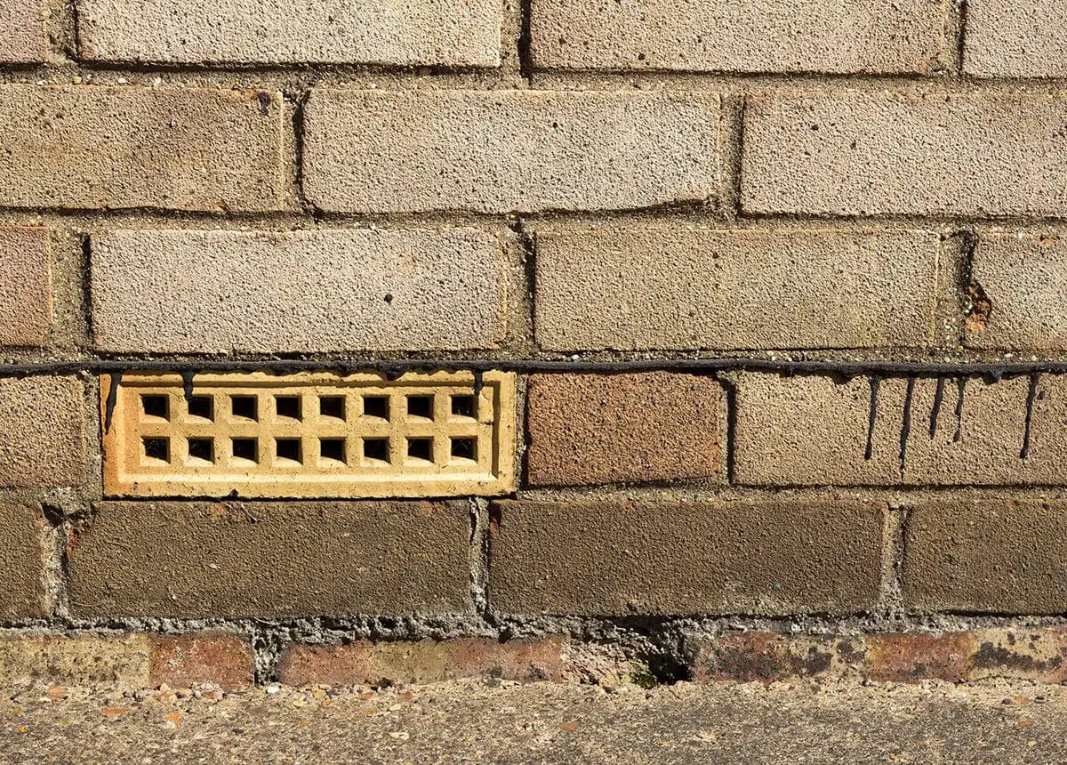 Does Your London Home Need a Damp Assessment?