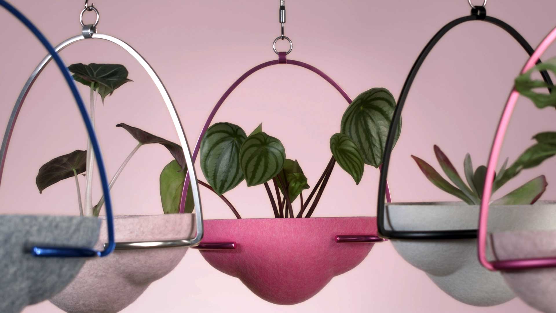 pichi Planter - Mohammad Hajikhani and Ashley de Haas | Image © Winter Summer Media