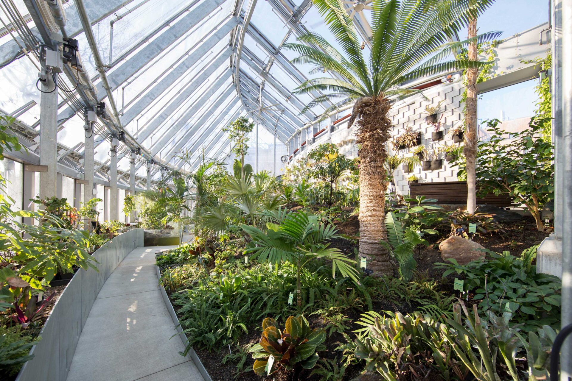Global Flora Conservatory | Design and Image © Kennedy & Violich Architecture (Image via v2com)