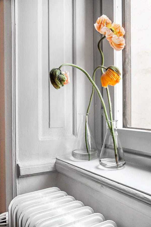 Apricot living room decor ideas [top 6 tips]