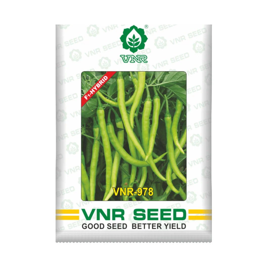 Vnr 978 Chilli Seeds F1 Hybrid Buy Online At Best Price Desikheti