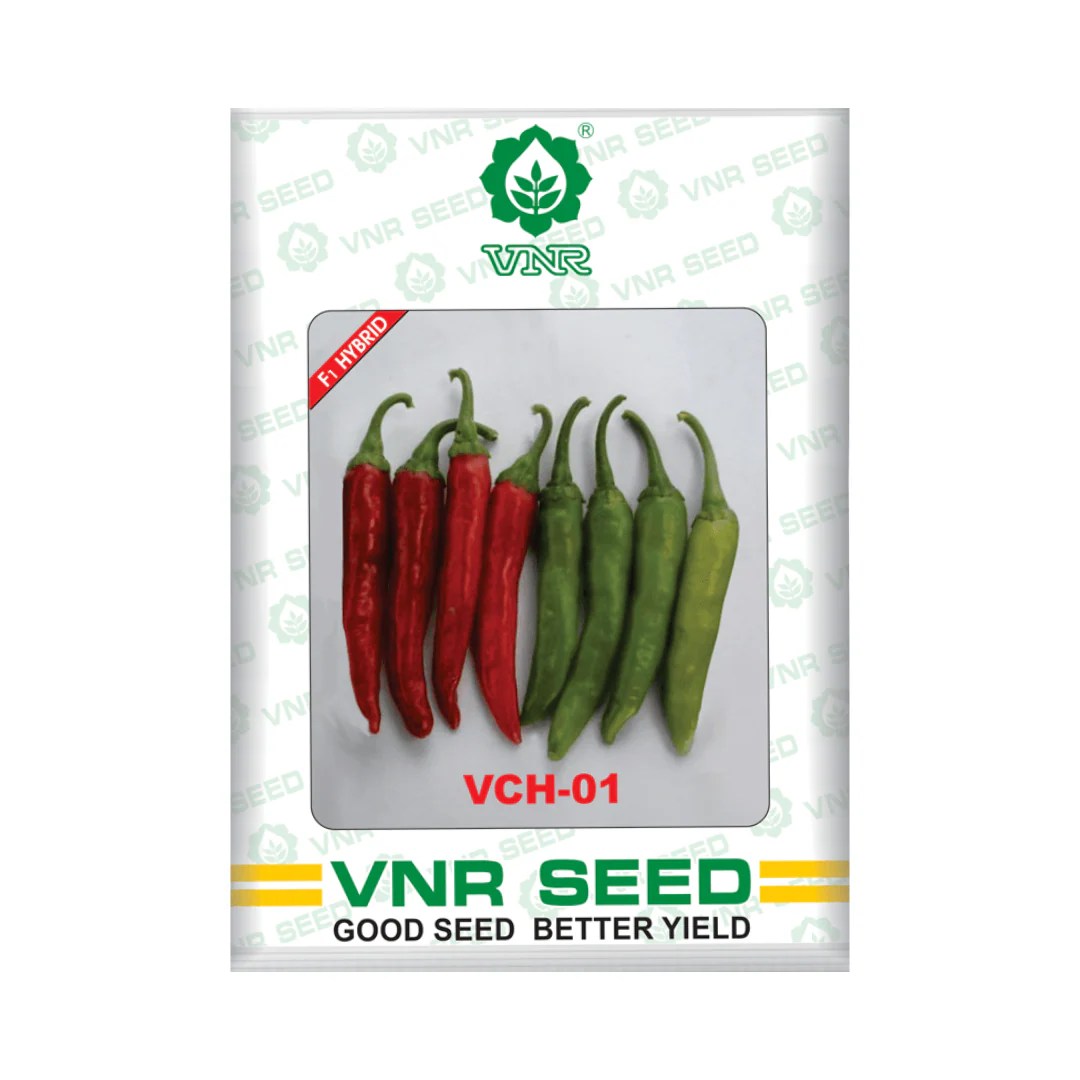Vch 01 Chilli Seeds Vnr F1 Hybrid Buy Online At Best Price