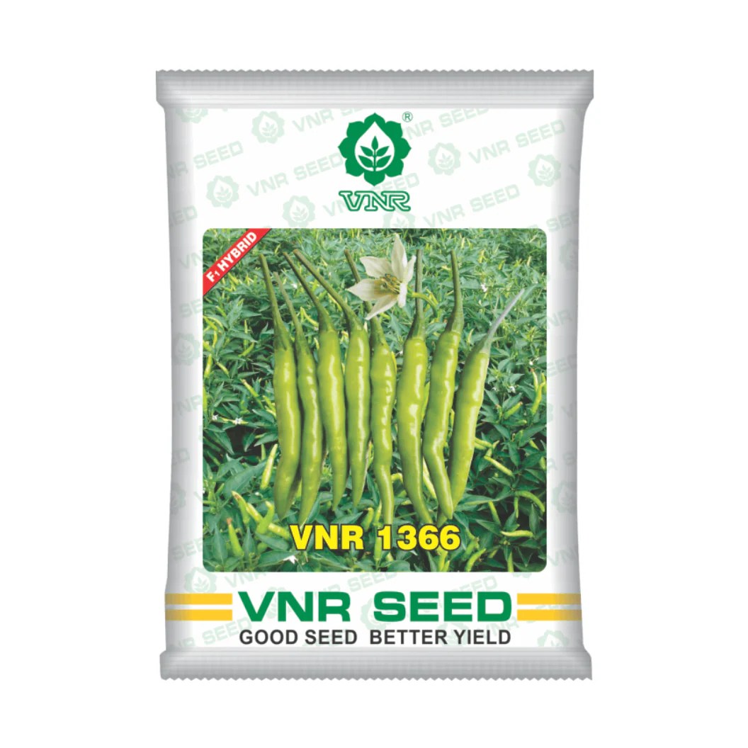 Vnr 1366 Chilli Seeds F1 Hybrid Buy Online At Best Price Desikheti