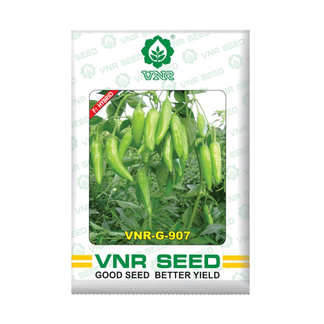 Vnr G 907 Chilli Seeds F1 Hybrid Buy Online At Best Price Desikheti