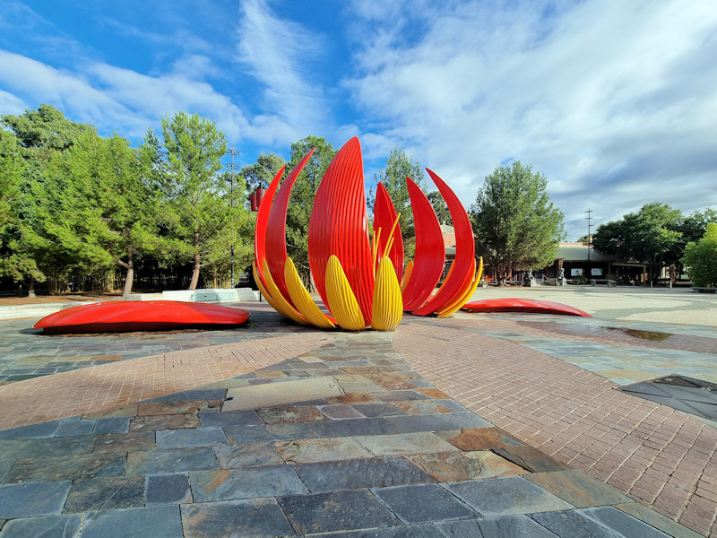 The Big Lotus Bendigo