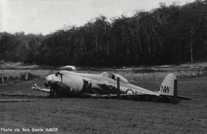 Sea Fury WE799