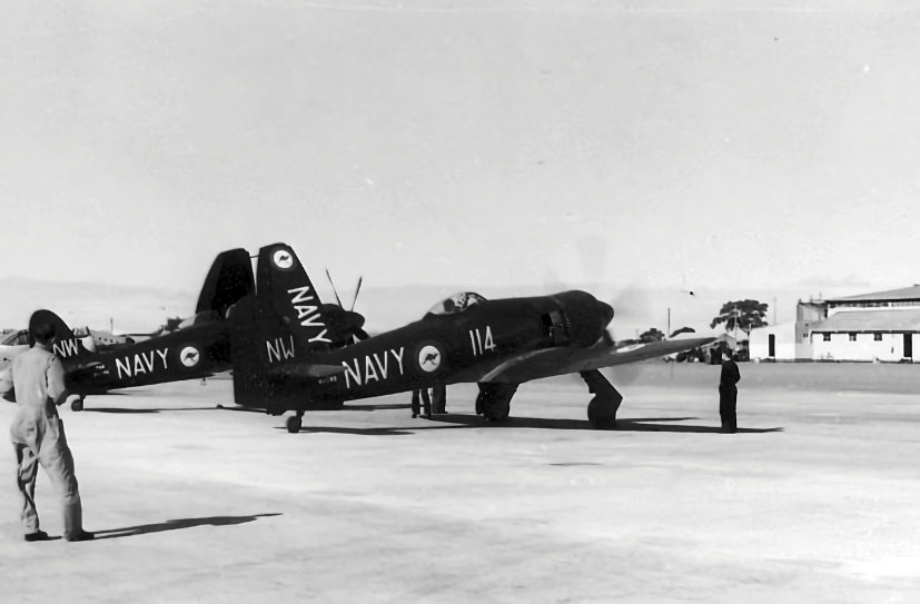 Sea Fury WH558 and WH559