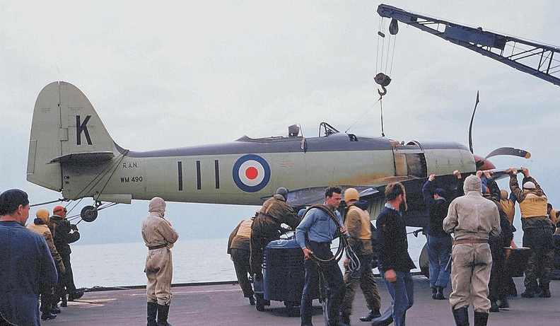 Sea Fury WM490