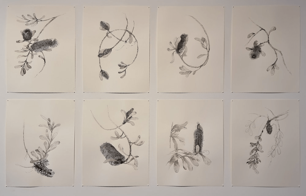 The Process of Interpretive Connection by Janice Hanicar and Julia McNaught Singleton Arts and Cultural Centre August 2025