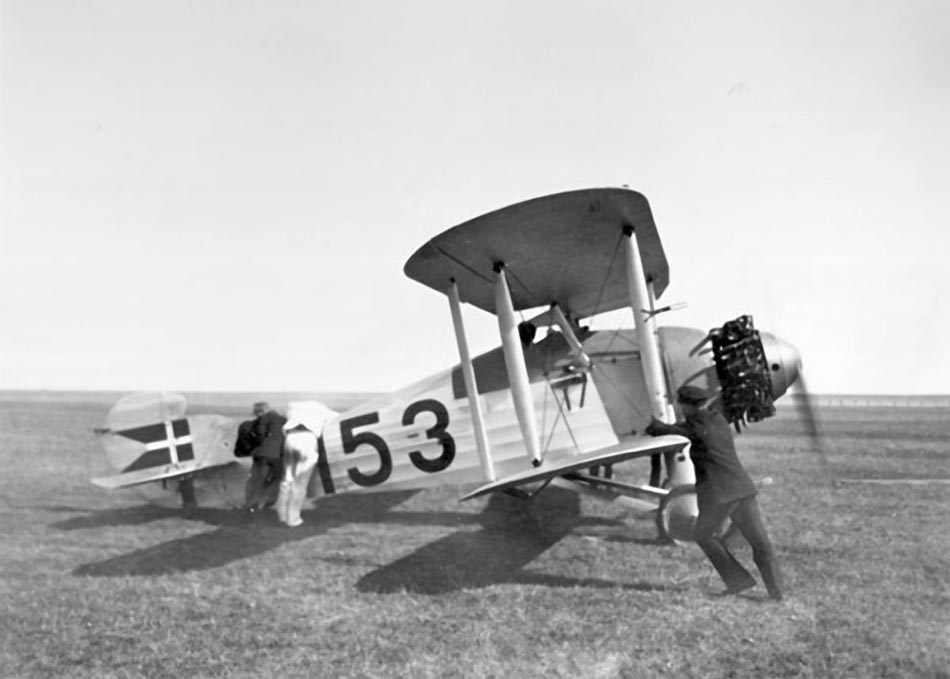Hawker Danecock