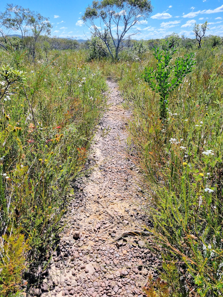 Side track to the engravings Elvina Aboriginal Engraving Site