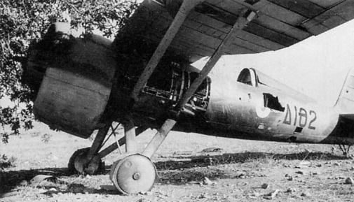 PZL P.24F