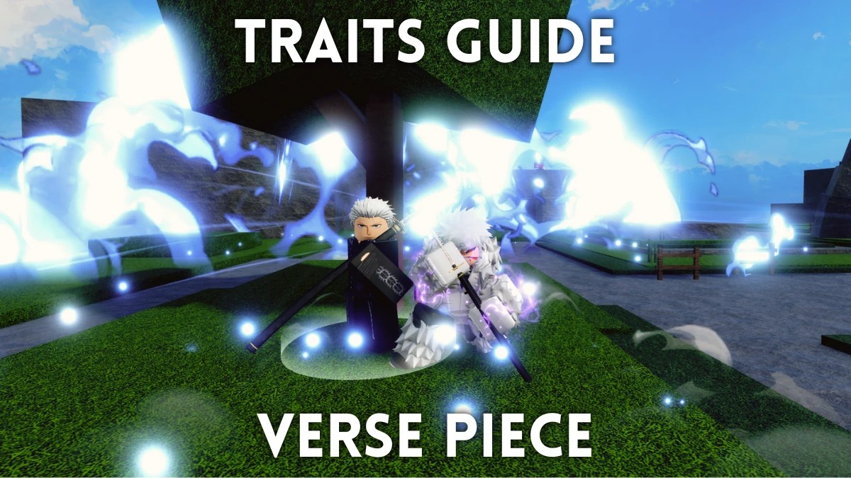 Official An Average Campaign Trello Wiki And Discord Links Destructoid Verse Piece Traits Guide Vergil Update.webp