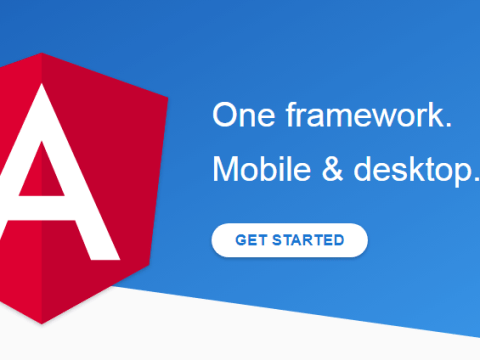 angularjs