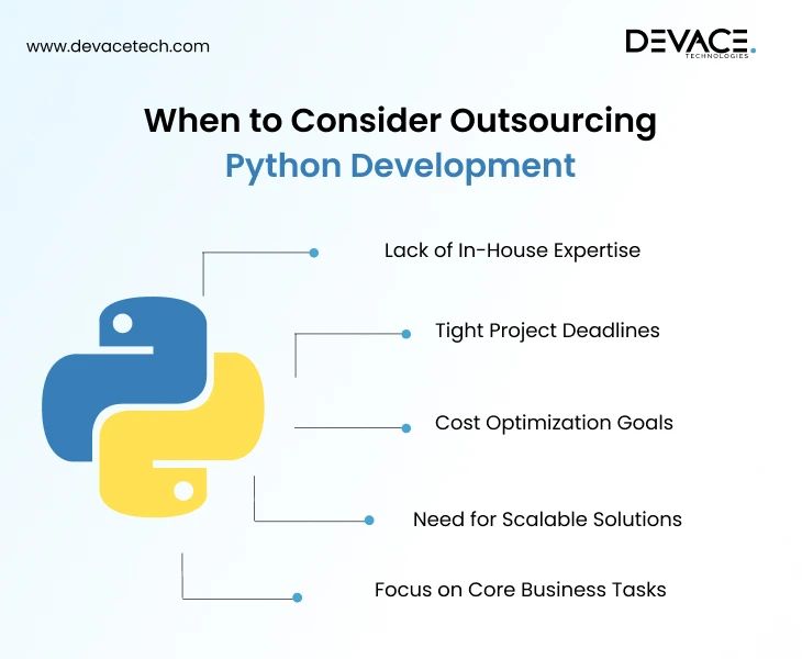 Python Development Outsourcing Complete Guide - Premium Light Picture Gallery - HD