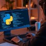 The Rise Of Python: Why & When Did Python Become So Popular