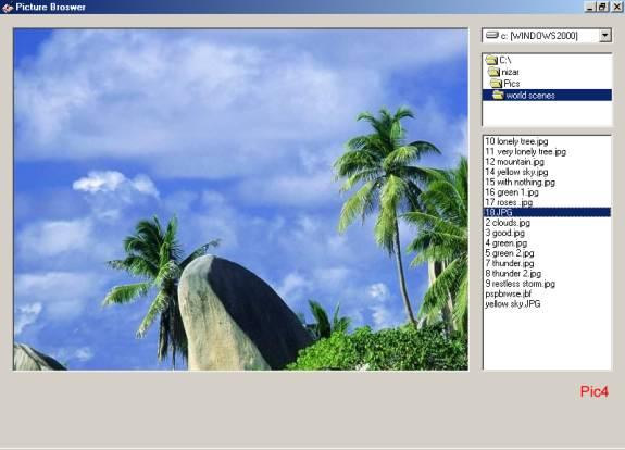 Displaying Images Picturebox Control Vb 6 Tutorial Developer Fusion - Geometric Textures - Artistic Retina Collection
