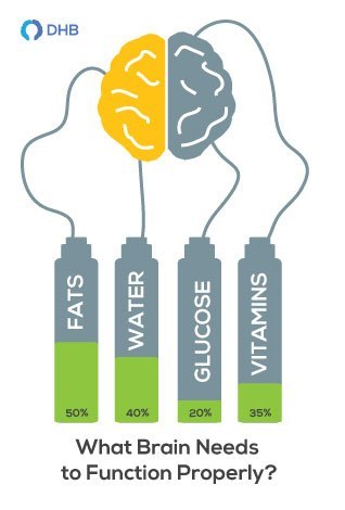 12 Best Brain Foods To Eat Before Taking A Test