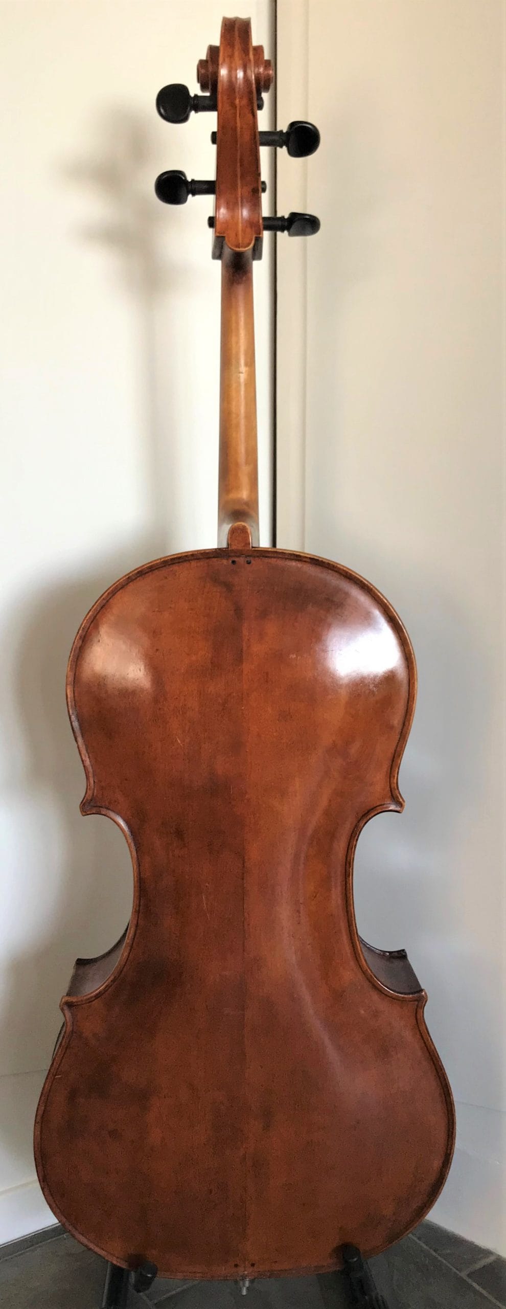 Cello Rocca back – Vioolbouw en -restauratie atelier A.C. Hendriksen