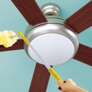 Dusting