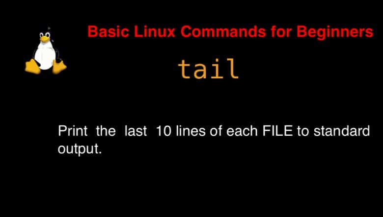 Tail Command In Linux With Examples Linux Command Line Tutorial - Stunning Minimal Picture - Retina