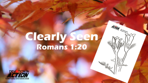 Something Beautiful #2: Clearly Seen - Romans 1:20
