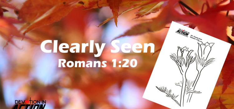 Something Beautiful #2: Clearly Seen – Romans 1:20