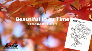 Something Beautiful Bonus: Beautiful in its Time - Ecclesiastes 3:11