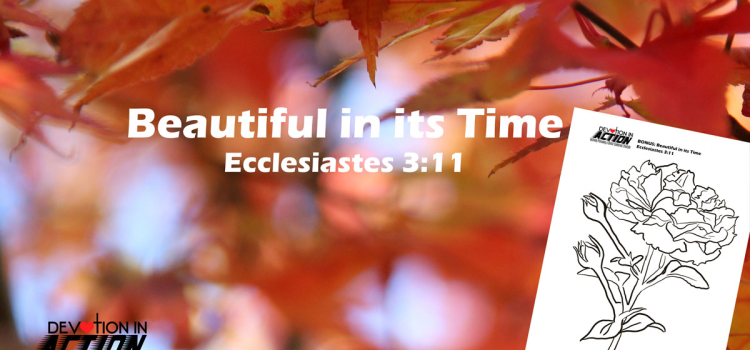 Something Beautiful Bonus: Beautiful in its Time – Ecclesiastes 3:11 Something Beautiful Bonus: Beautiful in its Time – Ecclesiastes 3:11