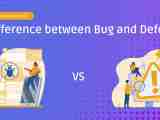 Bug Vs Defect Difference Between Bug And Defect Ds